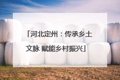 河北定州：传承乡土文脉 赋能乡村振兴
