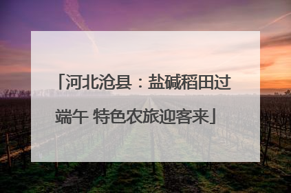 河北沧县：盐碱稻田过端午 特色农旅迎客来