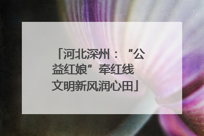 河北深州：“公益红娘”牵红线 文明新风润心田