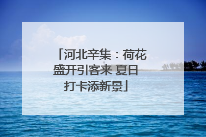 河北辛集：荷花盛开引客来 夏日打卡添新景