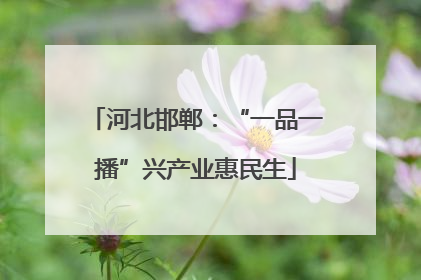 河北邯郸：“一品一播”兴产业惠民生
