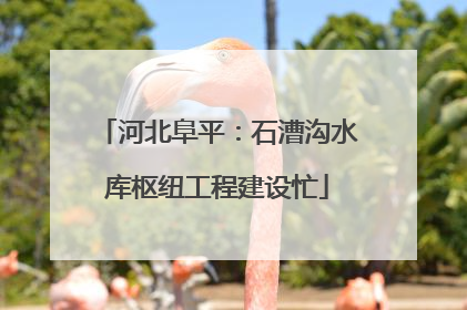 河北阜平：石漕沟水库枢纽工程建设忙