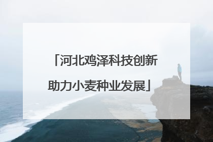 河北鸡泽科技创新助力小麦种业发展