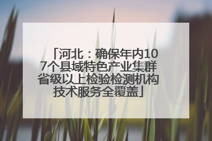河北：确保年内107个县域特色产业集群省级以上检验检测机构技术服务全覆盖
