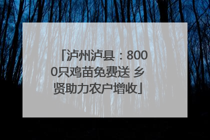 泸州泸县：8000只鸡苗免费送 乡贤助力农户增收