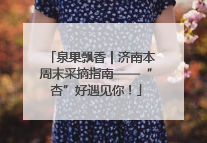 泉果飘香｜济南本周末采摘指南——“杏”好遇见你！