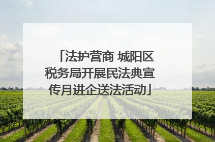 法护营商 城阳区税务局开展民法典宣传月进企送法活动