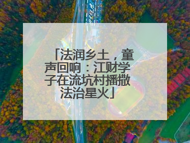 法润乡土，童声回响：江财学子在流坑村播撒法治星火