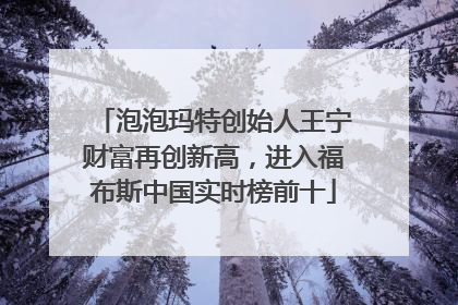 泡泡玛特创始人王宁财富再创新高，进入福布斯中国实时榜前十