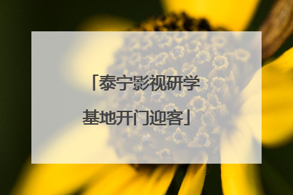 泰宁影视研学基地开门迎客