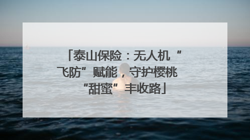 泰山保险：无人机“飞防”赋能，守护樱桃“甜蜜”丰收路