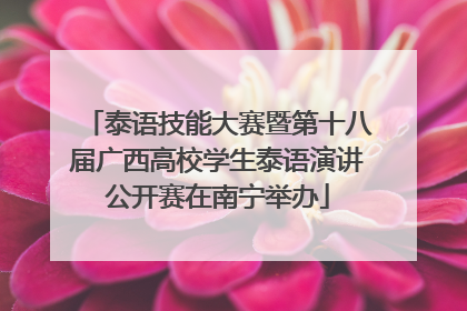 泰语技能大赛暨第十八届广西高校学生泰语演讲公开赛在南宁举办