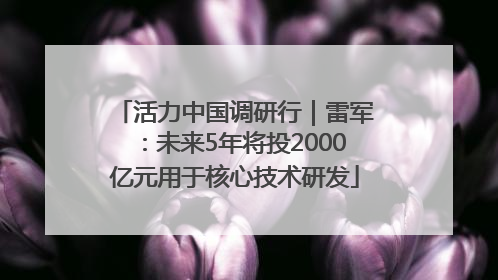 活力中国调研行｜雷军：未来5年将投2000亿元用于核心技术研发