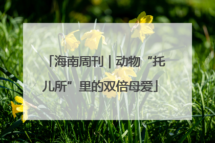 海南周刊｜动物“托儿所”里的双倍母爱
