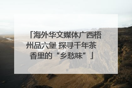 海外华文媒体广西梧州品六堡 探寻千年茶香里的“乡愁味”