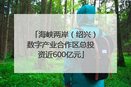 海峡两岸（绍兴）数字产业合作区总投资近600亿元