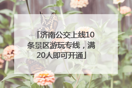 济南公交上线10条景区游玩专线，满20人即可开通