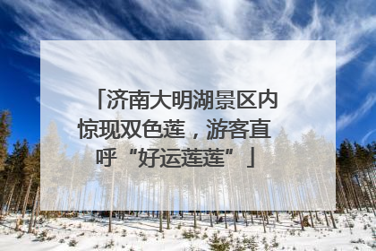 济南大明湖景区内惊现双色莲，游客直呼“好运莲莲”