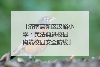济南高新区汉峪小学：民法典进校园 构筑校园安全防线