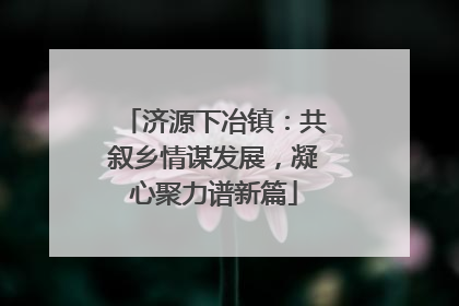 济源下冶镇：共叙乡情谋发展，凝心聚力谱新篇