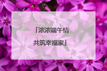 浓浓端午情 共筑幸福家