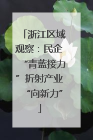 浙江区域观察：民企“青蓝接力”折射产业“向新力”