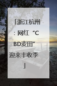 浙江杭州：网红“CBD麦田”迎来丰收季