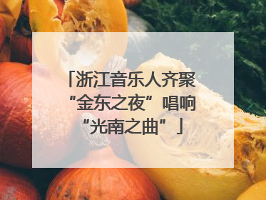 浙江音乐人齐聚“金东之夜”唱响“光南之曲”