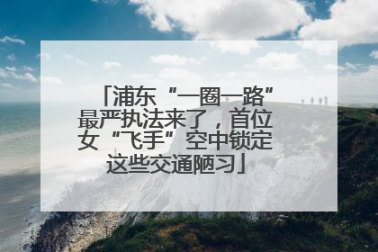 浦东“一圈一路”最严执法来了，首位女“飞手”空中锁定这些交通陋习