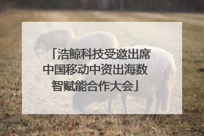浩鲸科技受邀出席中国移动中资出海数智赋能合作大会