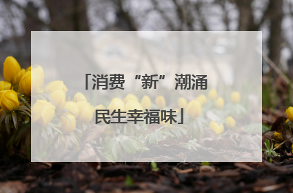 消费“新”潮涌 民生幸福味