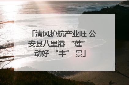 清风护航产业旺 公安县八里港 “莲” 动好 “丰” 景