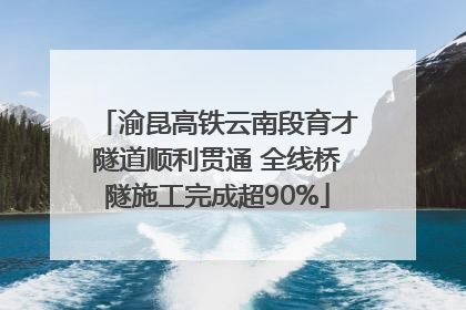 渝昆高铁云南段育才隧道顺利贯通 全线桥隧施工完成超90%
