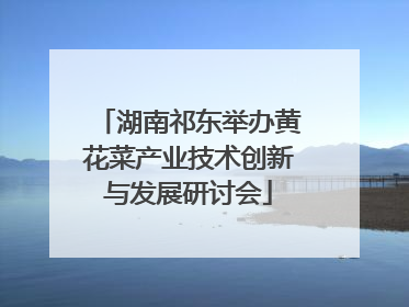 湖南祁东举办黄花菜产业技术创新与发展研讨会