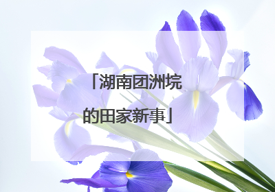 湖南团洲垸的田家新事