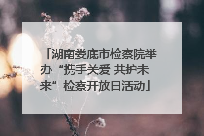 湖南娄底市检察院举办“携手关爱 共护未来”检察开放日活动