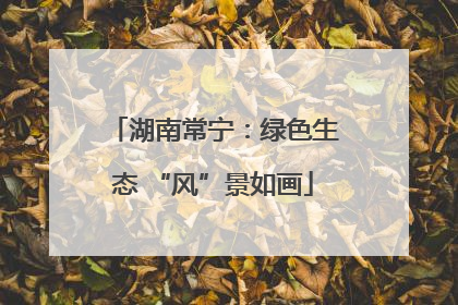 湖南常宁：绿色生态 “风”景如画