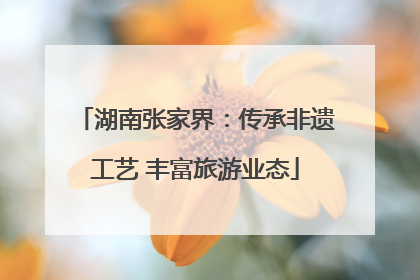 湖南张家界：传承非遗工艺 丰富旅游业态