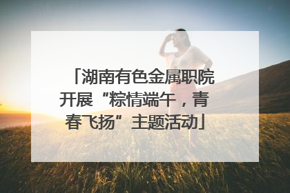 湖南有色金属职院开展“粽情端午，青春飞扬”主题活动