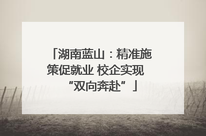湖南蓝山：精准施策促就业 校企实现“双向奔赴”