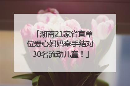 湖南21家省直单位爱心妈妈牵手结对30名流动儿童！