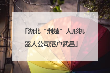 湖北“荆楚”人形机器人公司落户武昌