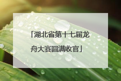 湖北省第十七届龙舟大赛圆满收官