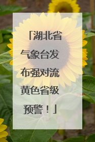 湖北省气象台发布强对流黄色省级预警！