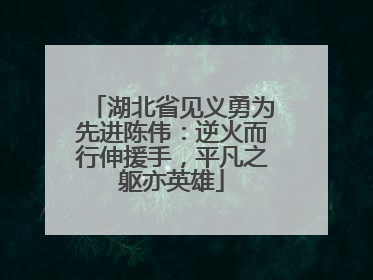 湖北省见义勇为先进陈伟：逆火而行伸援手，平凡之躯亦英雄