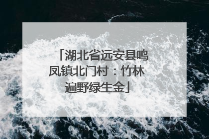 湖北省远安县鸣凤镇北门村：竹林遍野绿生金