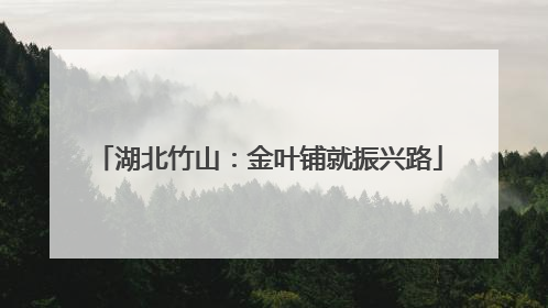湖北竹山：金叶铺就振兴路