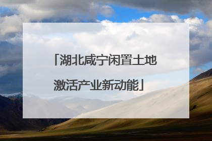 湖北咸宁闲置土地激活产业新动能