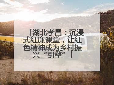 湖北孝昌：沉浸式红廉课堂，让红色精神成为乡村振兴“引擎”