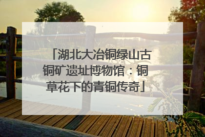 湖北大冶铜绿山古铜矿遗址博物馆：铜草花下的青铜传奇